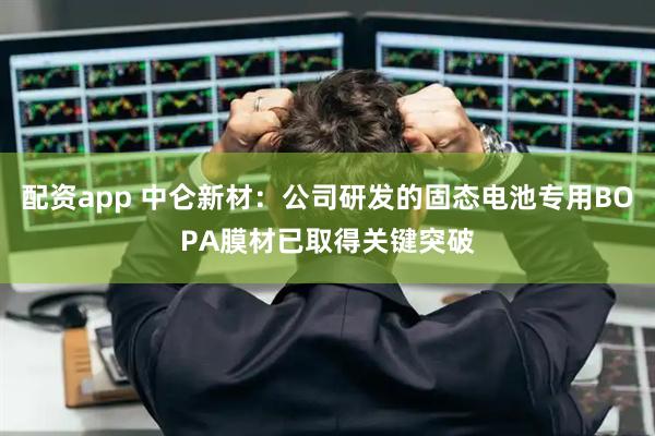 配资app 中仑新材：公司研发的固态电池专用BOPA膜材已取得关键突破