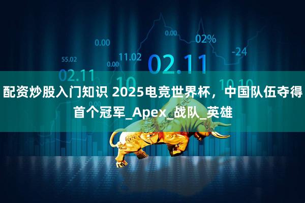 配资炒股入门知识 2025电竞世界杯，中国队伍夺得首个冠军_Apex_战队_英雄